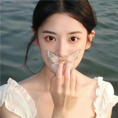 森林奇旅